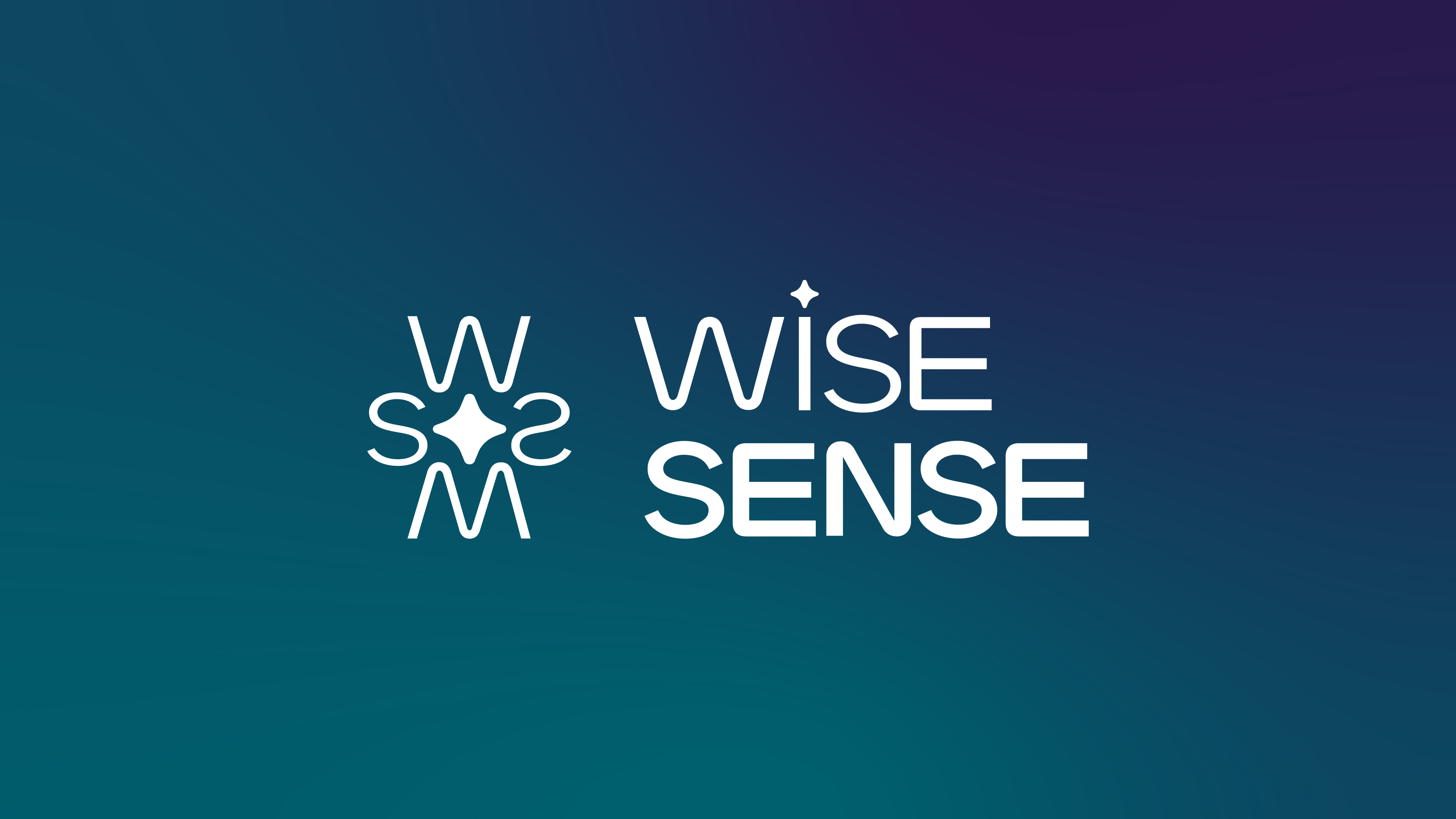 WISESENSE