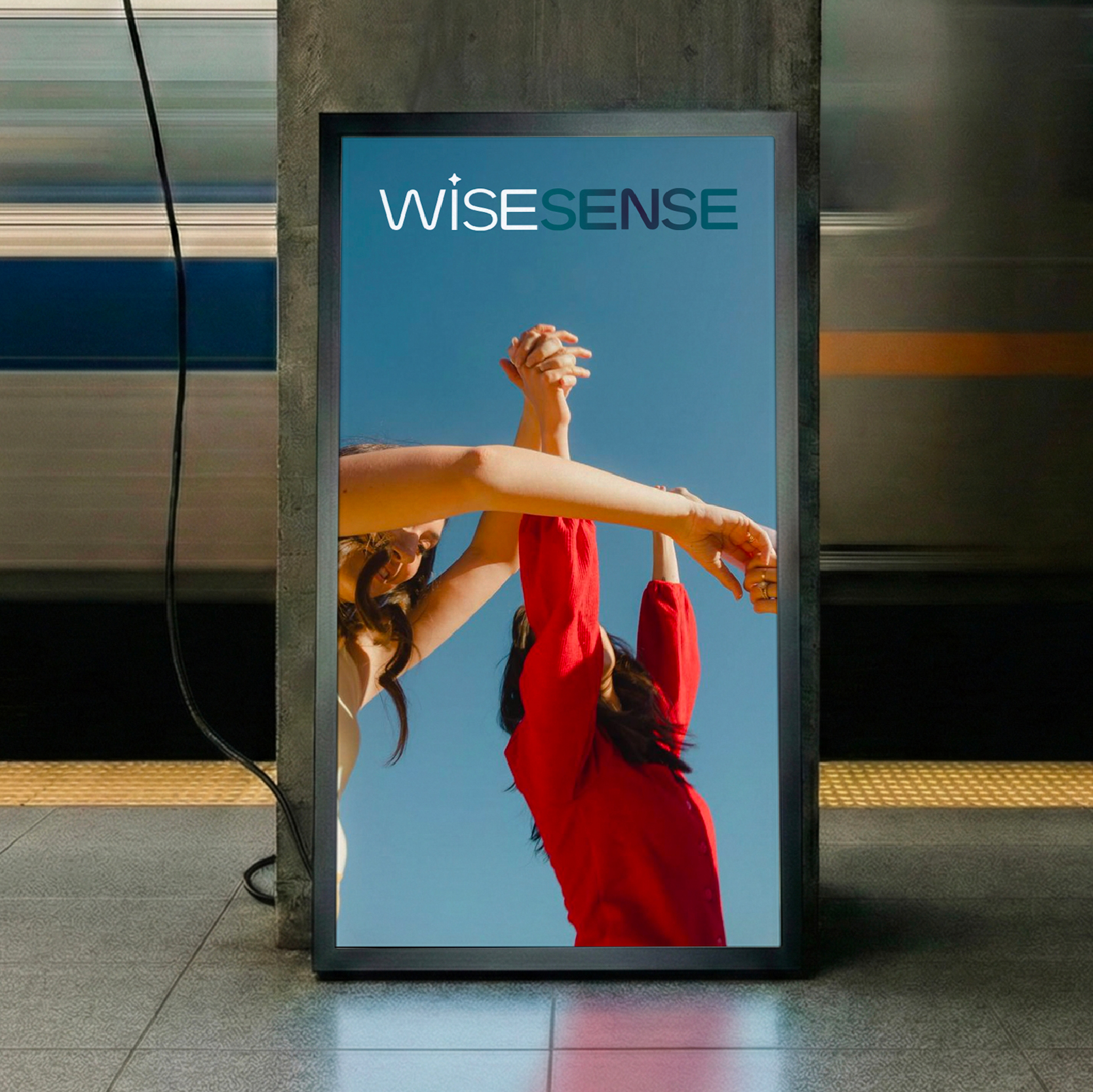 WISESENSE